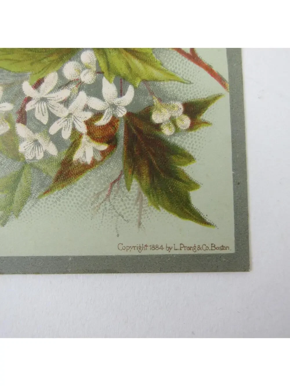 Victorian Greeting Card Easter Ladybug Green Leaves White Flowers Antique 1884
